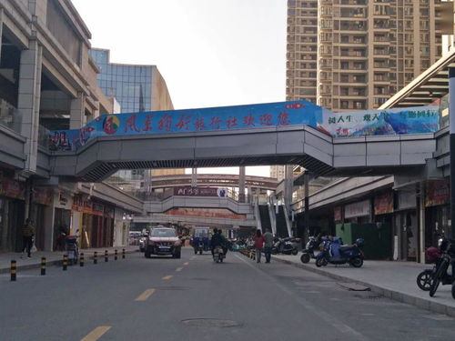 節(jié)日奮斗，風(fēng)景獨(dú)好——廣信營業(yè)部盛大開業(yè)，多重優(yōu)惠產(chǎn)品傾情上線